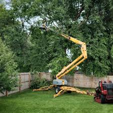 Best Arborist Consultation Services  in North Pearsall, TX