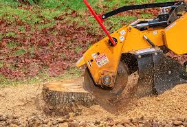 Best Firewood Processing and Delivery  in North Pearsall, TX