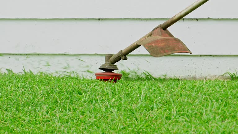 Best Lawn Maintenance Plans  in North Pearsall, TX