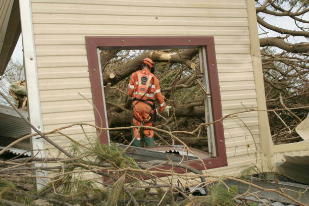 Best Tree Risk Assessment  in North Pearsall, TX